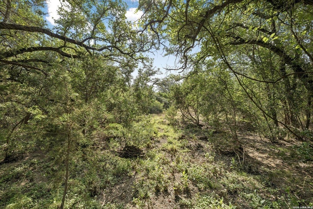 10.71 acres in Kendall County - photo 29