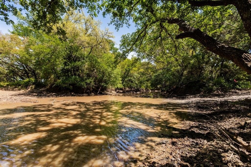 1,055 acres in Coleman County gallery image 4