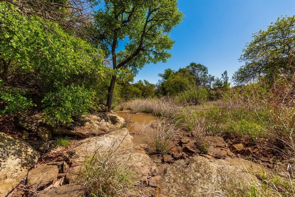 1,055 acres in Coleman County gallery image 3