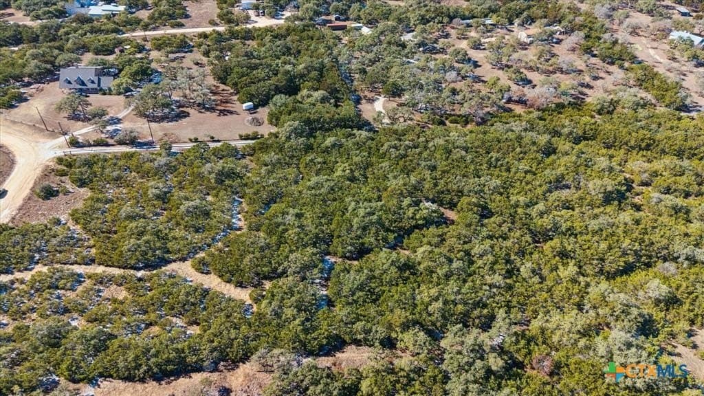 10 acres in Bexar County gallery image 3