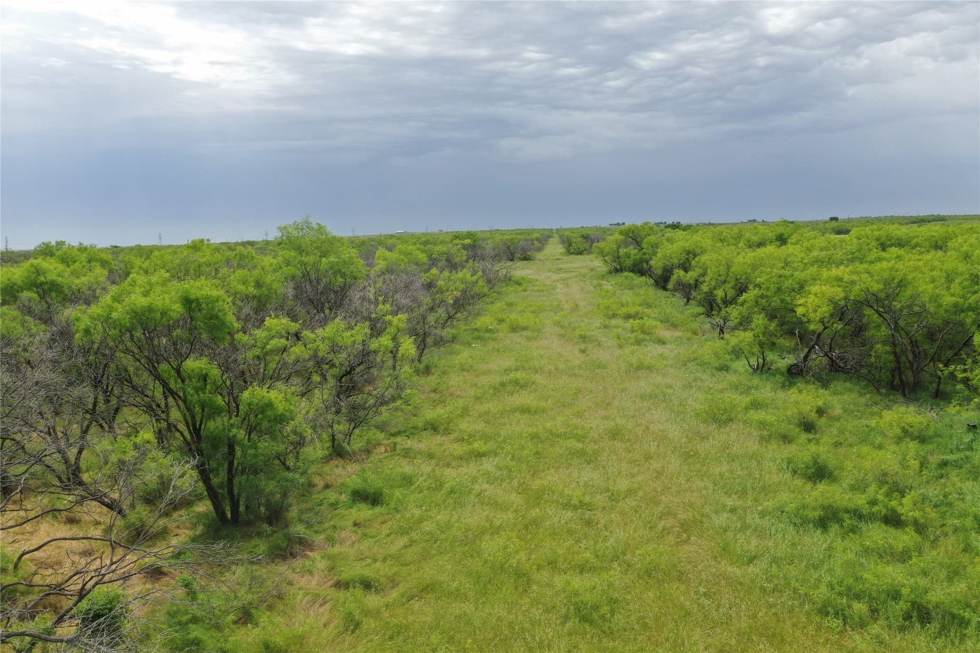 31.8 acres in Clay County - photo 5