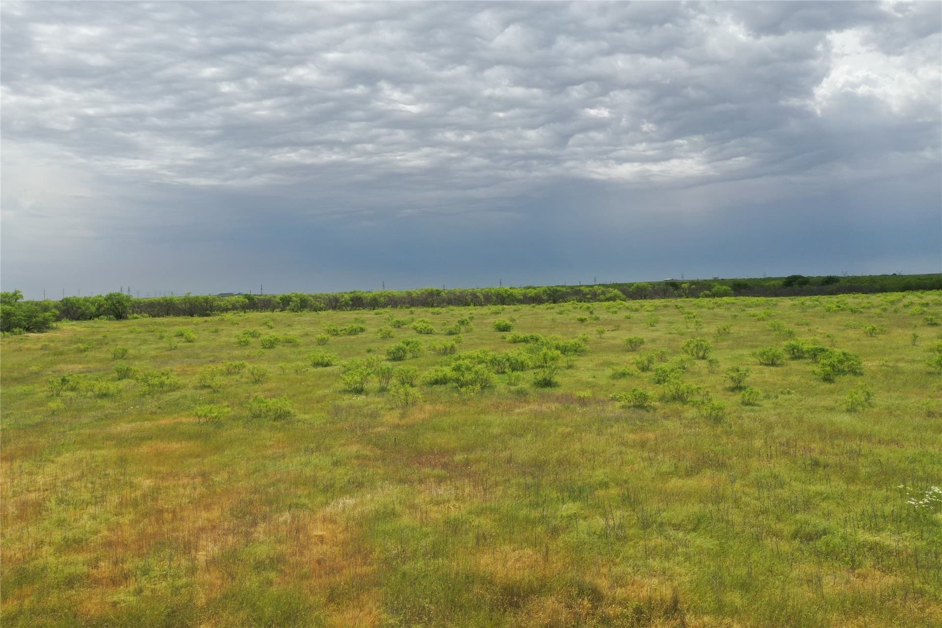 31.8 acres in Clay County - photo 7
