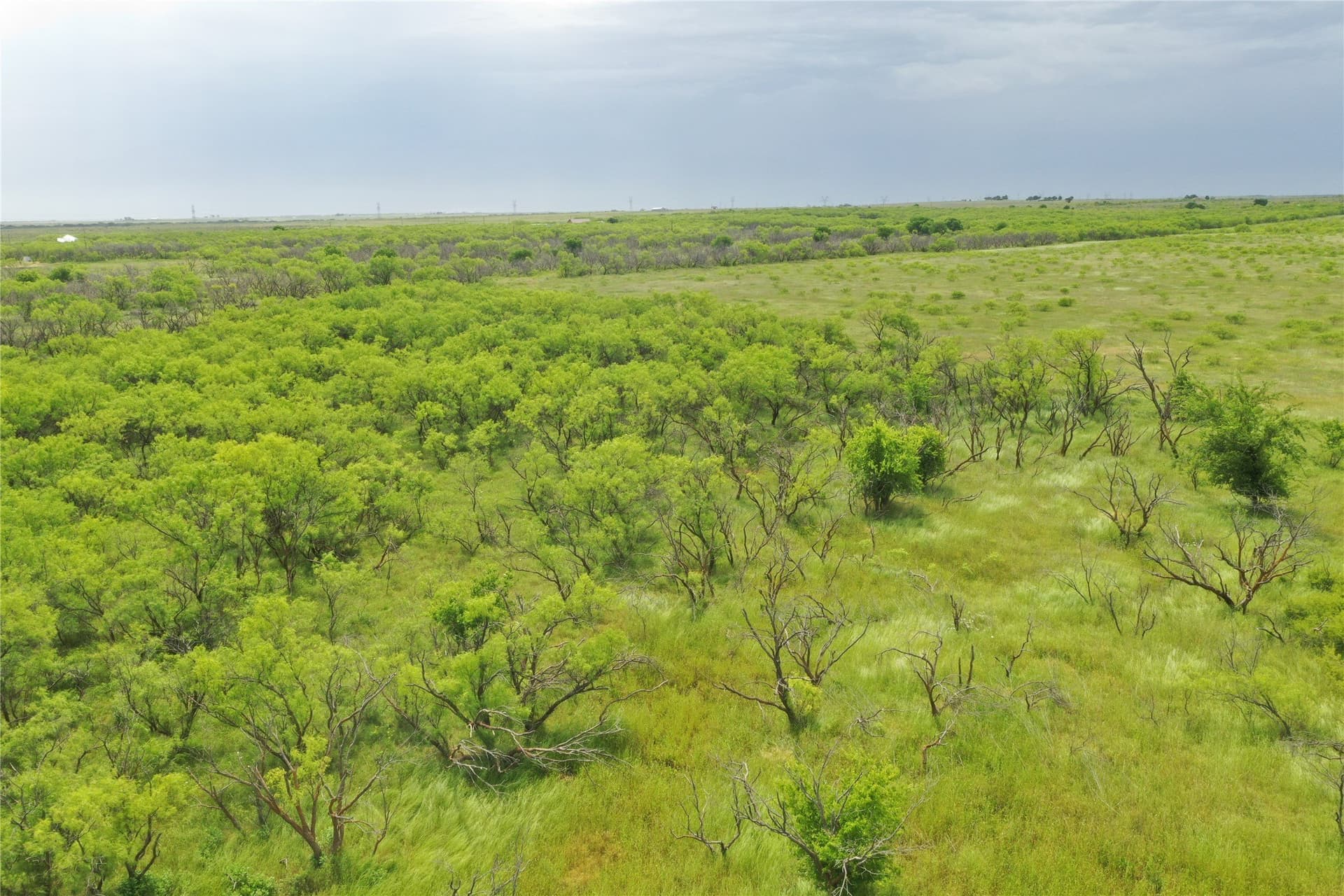 31.8 acres in Clay County - photo 2