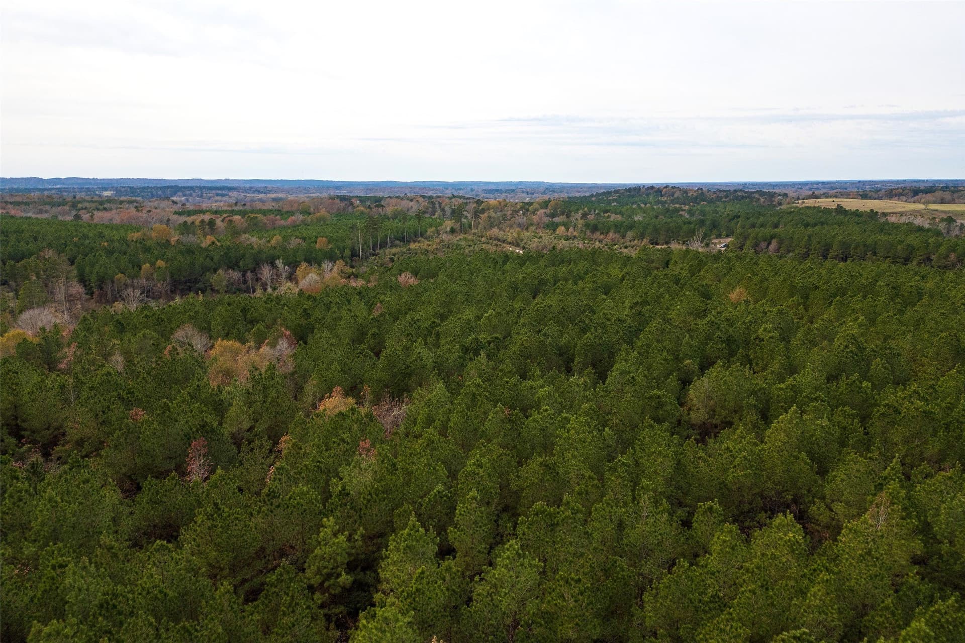 53.5 acres in Shelby County - photo 19