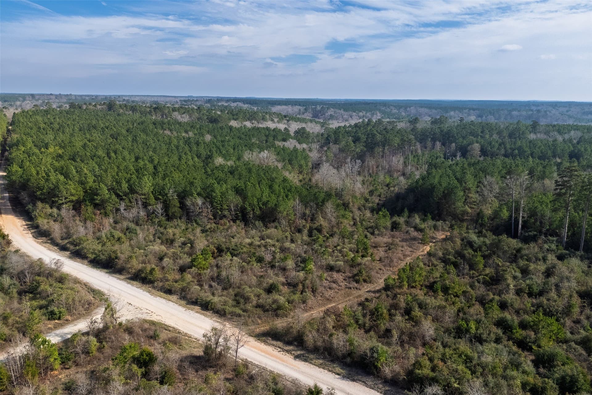 53.5 acres in Shelby County - photo 14