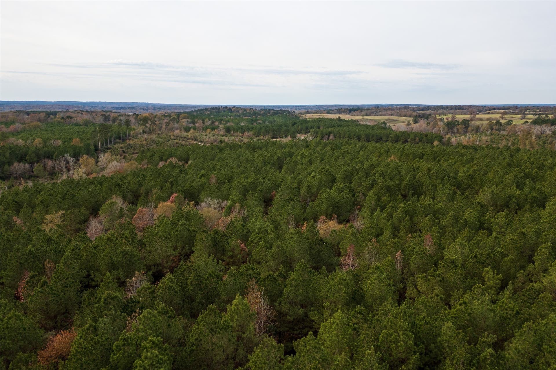 53.5 acres in Shelby County - photo 20