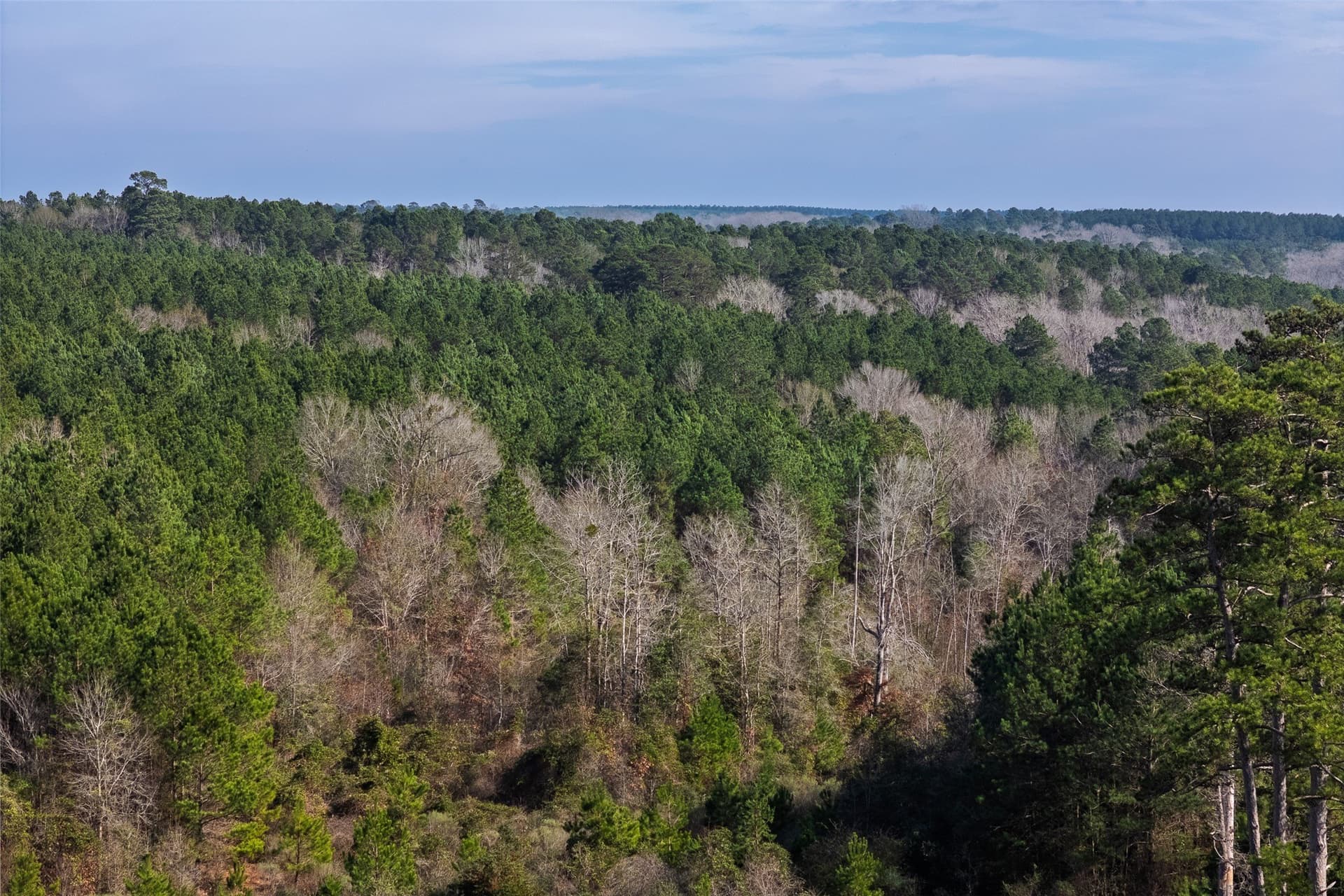 53.5 acres in Shelby County - photo 17