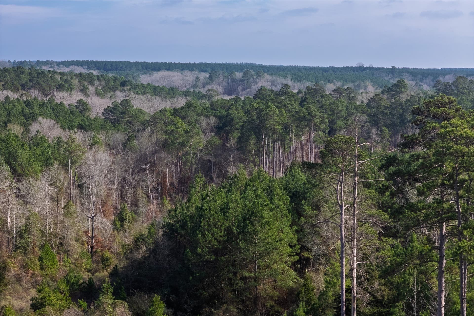 53.5 acres in Shelby County - photo 16