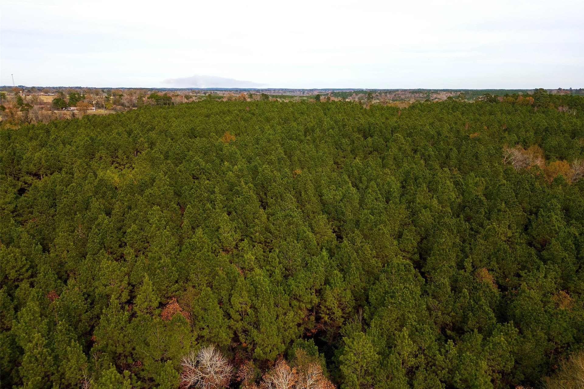 53.5 acres in Shelby County - photo 21