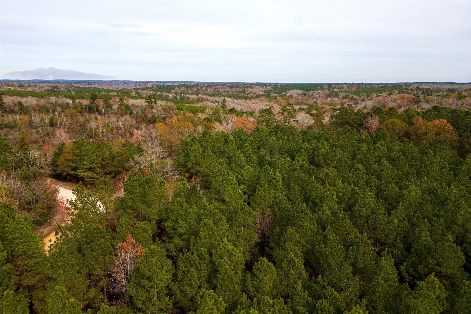 53.5 acres in Shelby County - photo 18