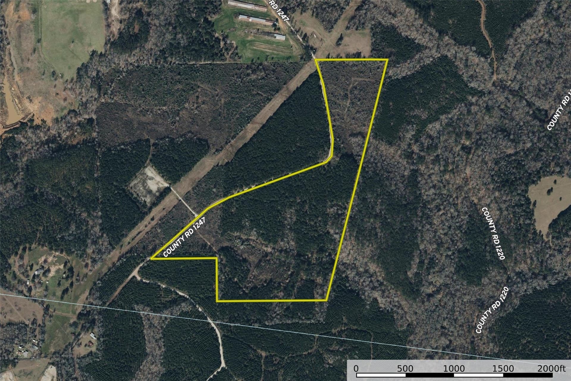 53.5 acres in Shelby County - photo 24