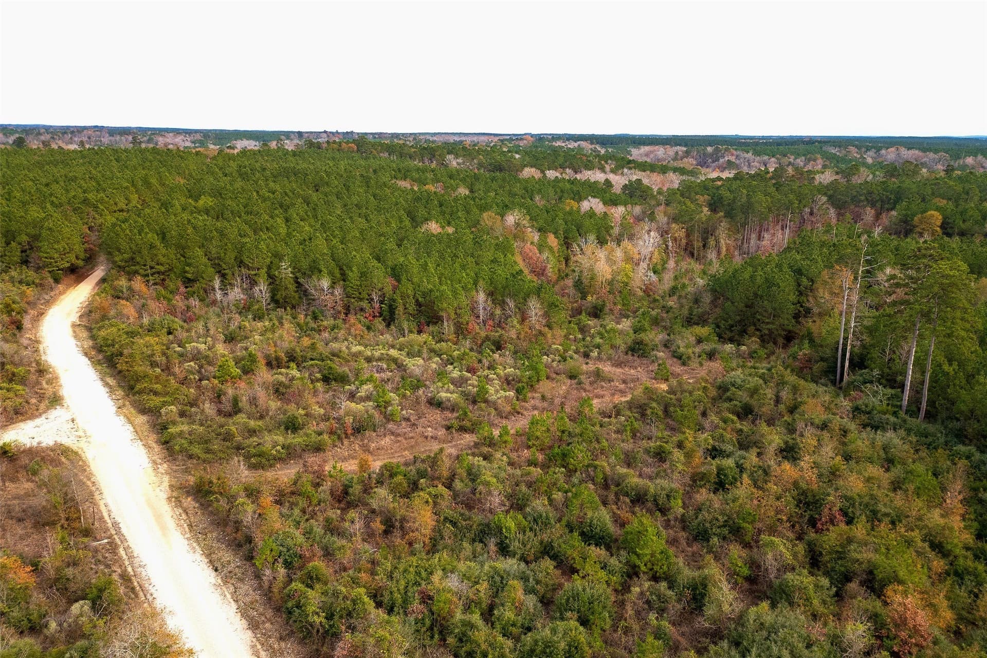 53.5 acres in Shelby County gallery image 4