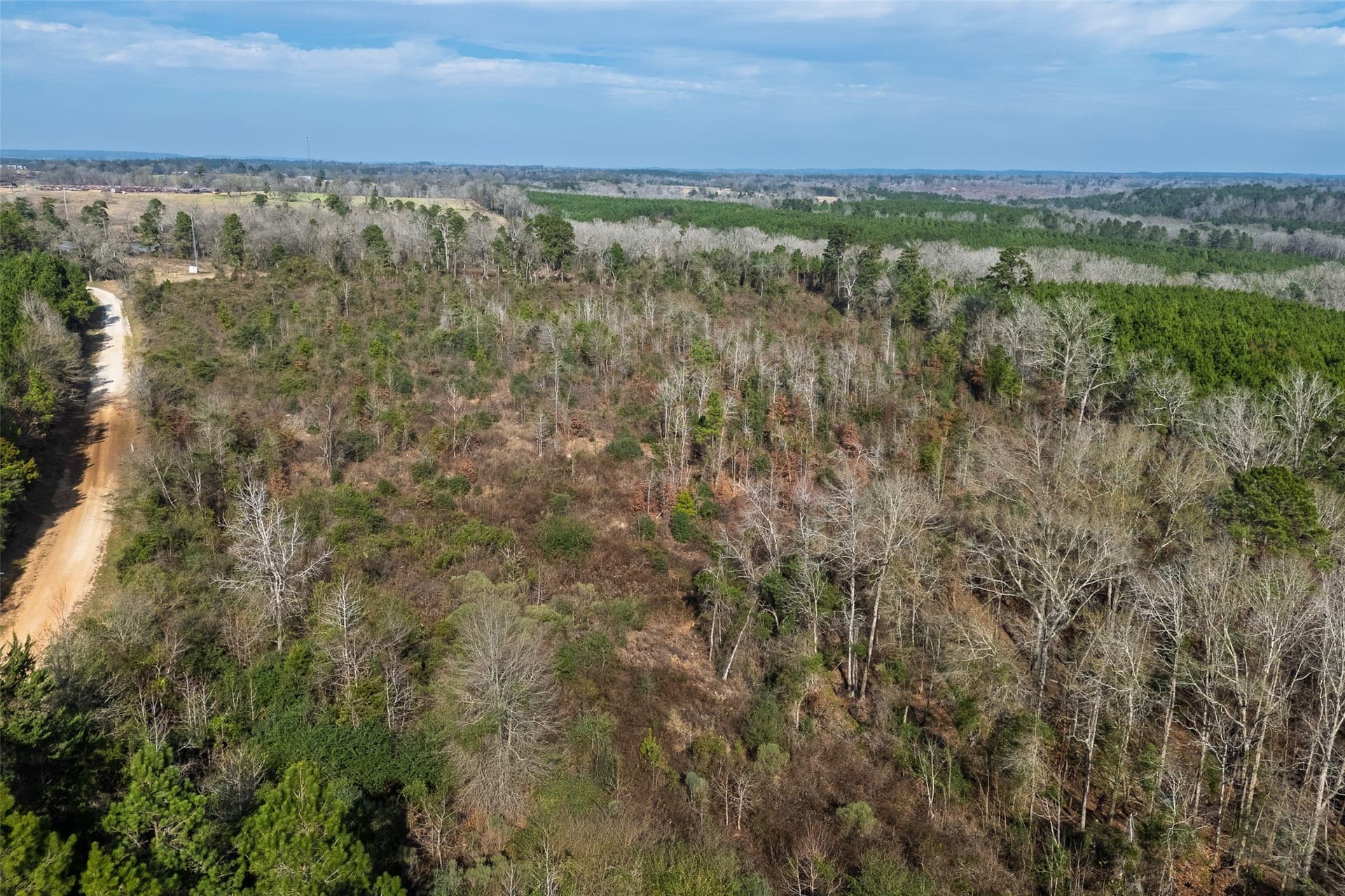 53.5 acres in Shelby County - photo 11