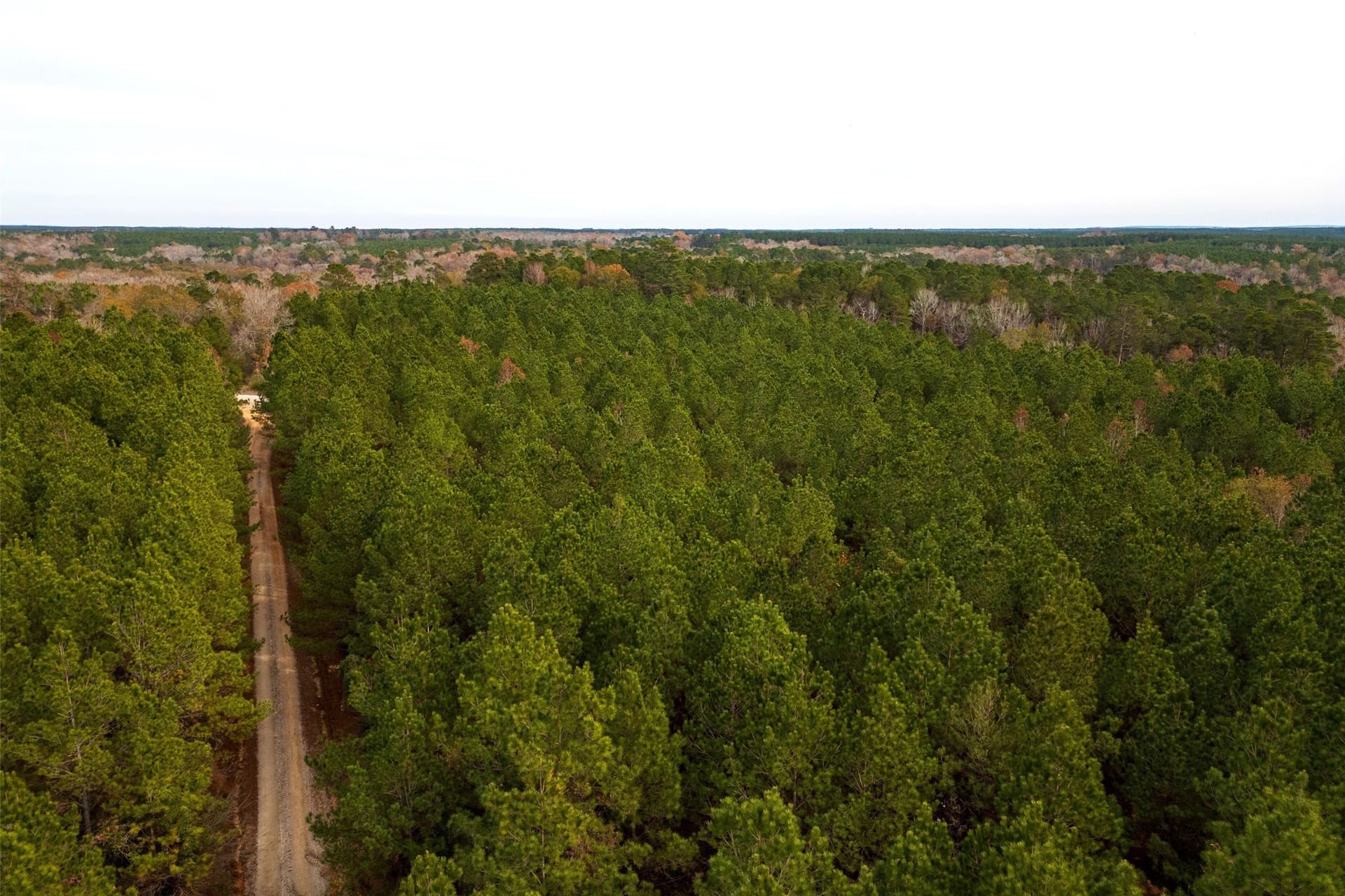 53.5 acres in Shelby County - photo 22