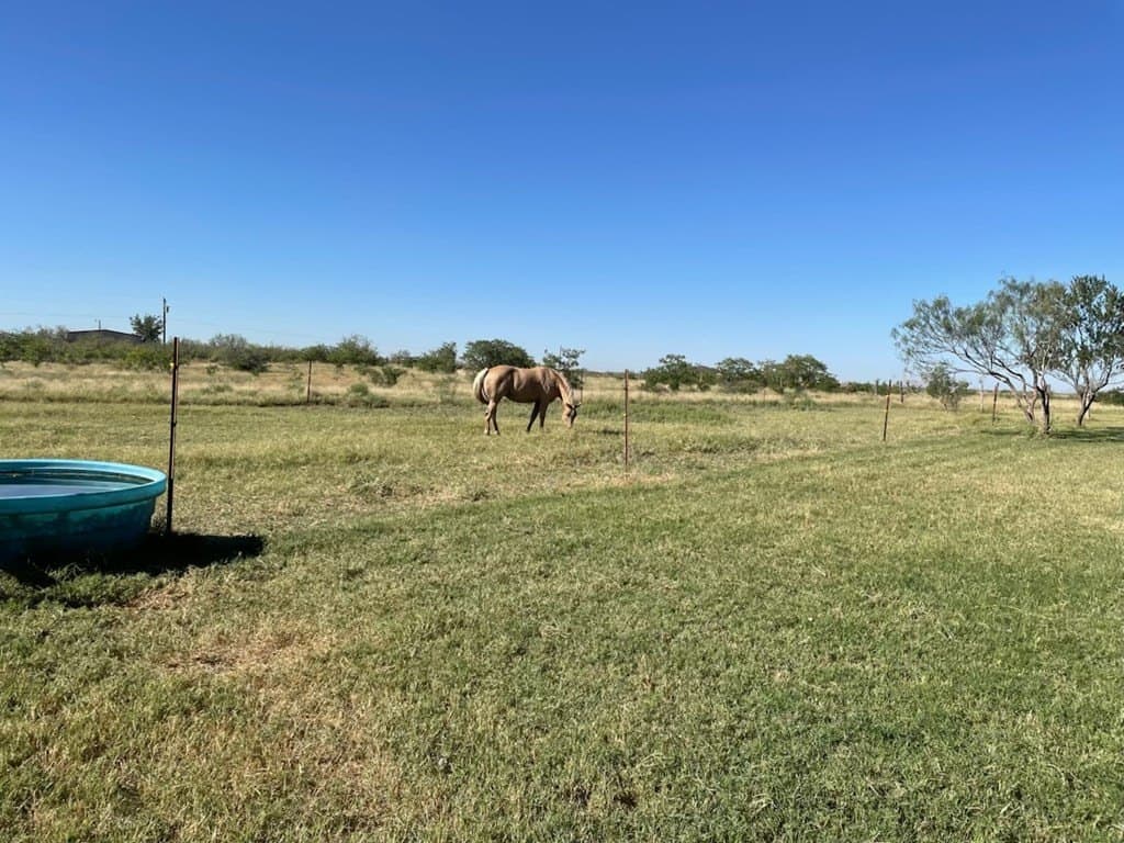 51.77 acres in Midland County - photo 40