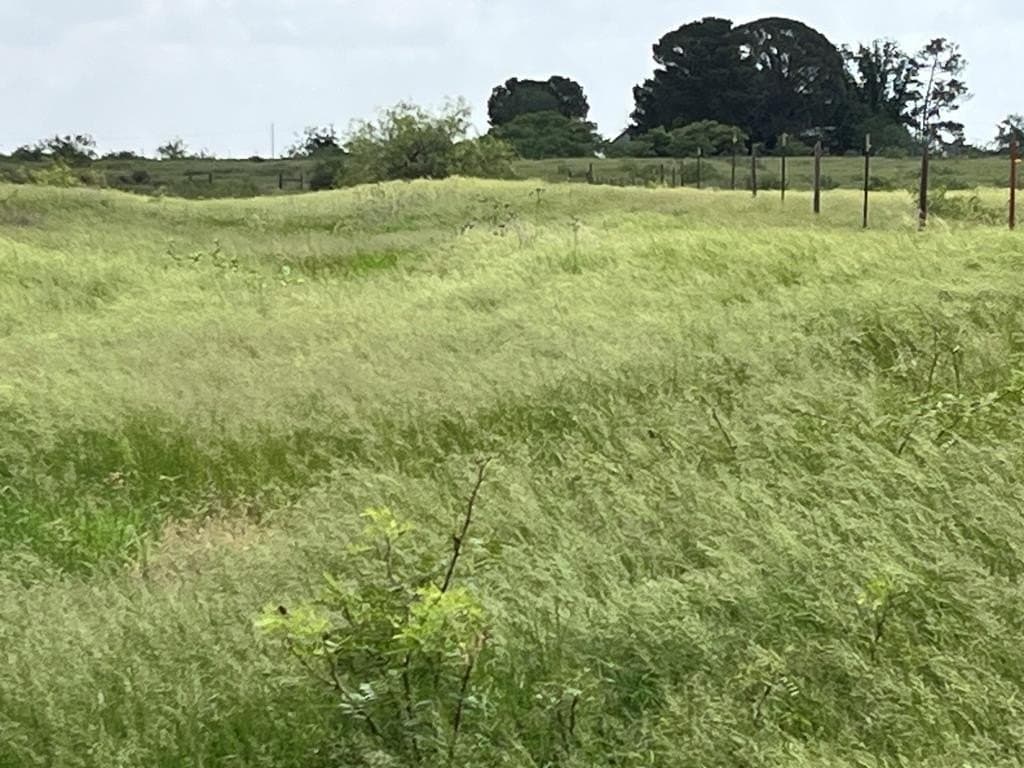 51.77 acres in Midland County - photo 32