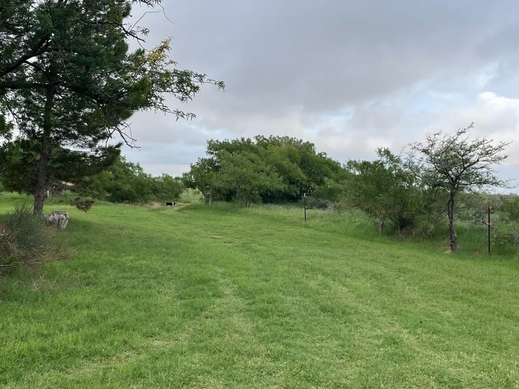 51.77 acres in Midland County - photo 46