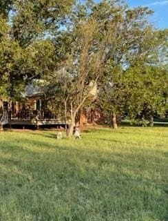51.77 acres in Midland County - photo 29