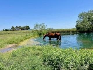 51.77 acres in Midland County - photo 47