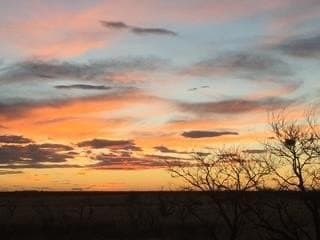 51.77 acres in Midland County - photo 66