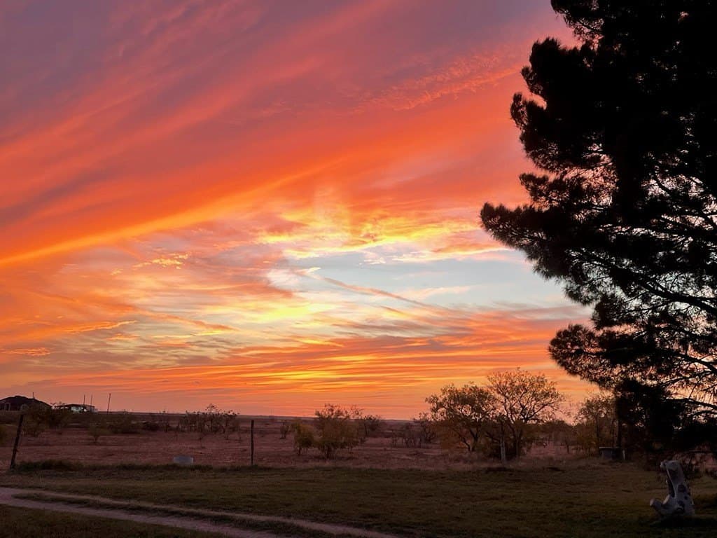 51.77 acres in Midland County - photo 33