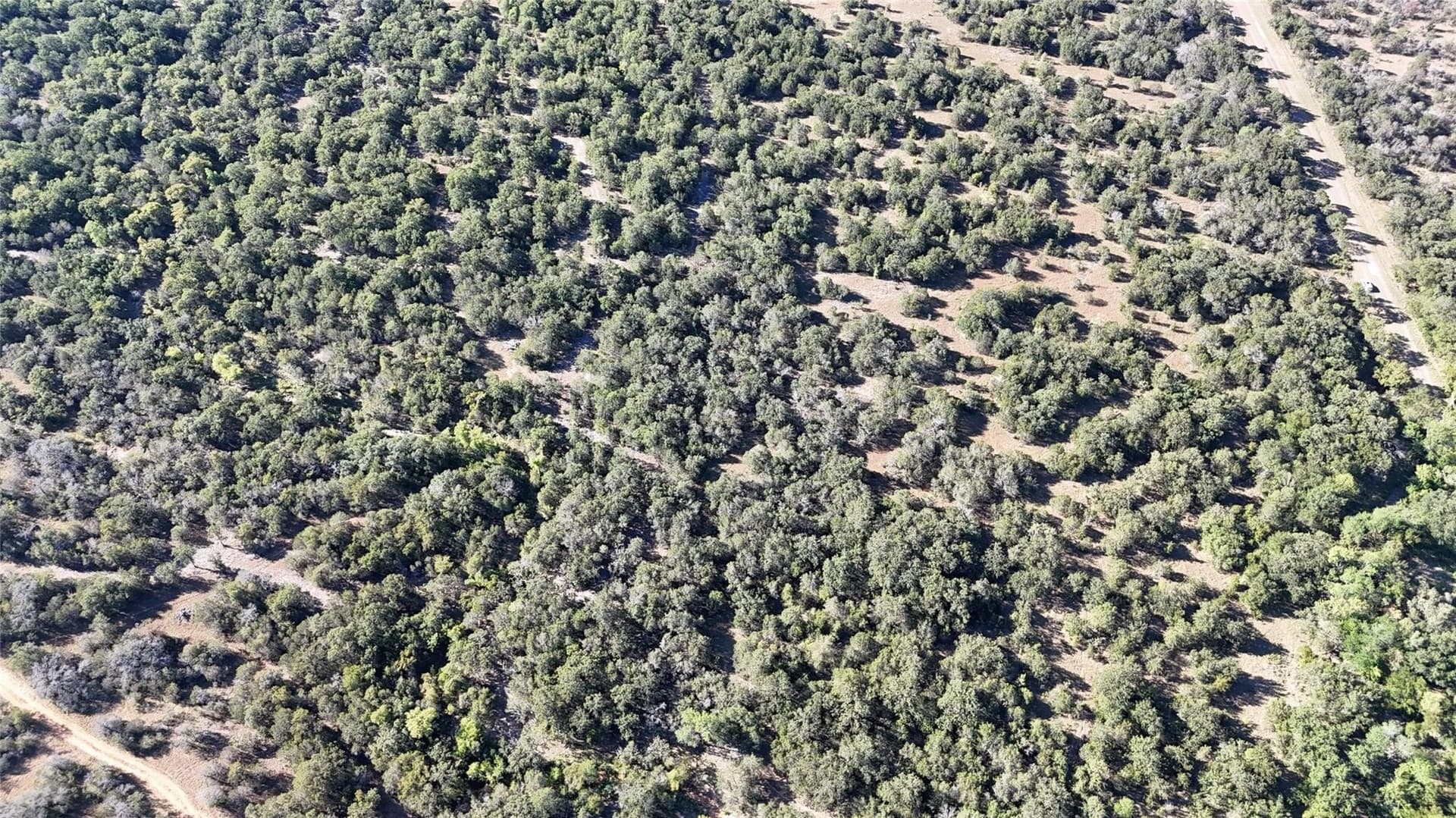 13.93 acres in Palo Pinto County - photo 13