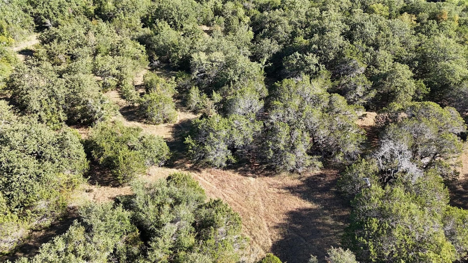13.93 acres in Palo Pinto County - photo 8