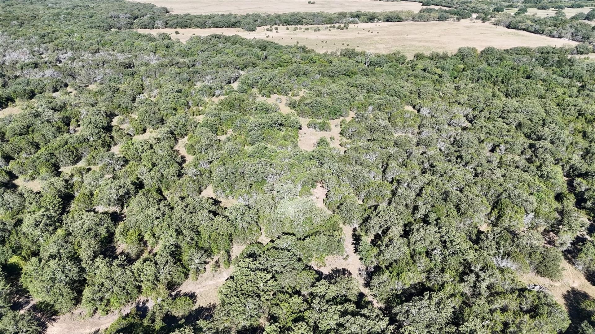 13.93 acres in Palo Pinto County - photo 12