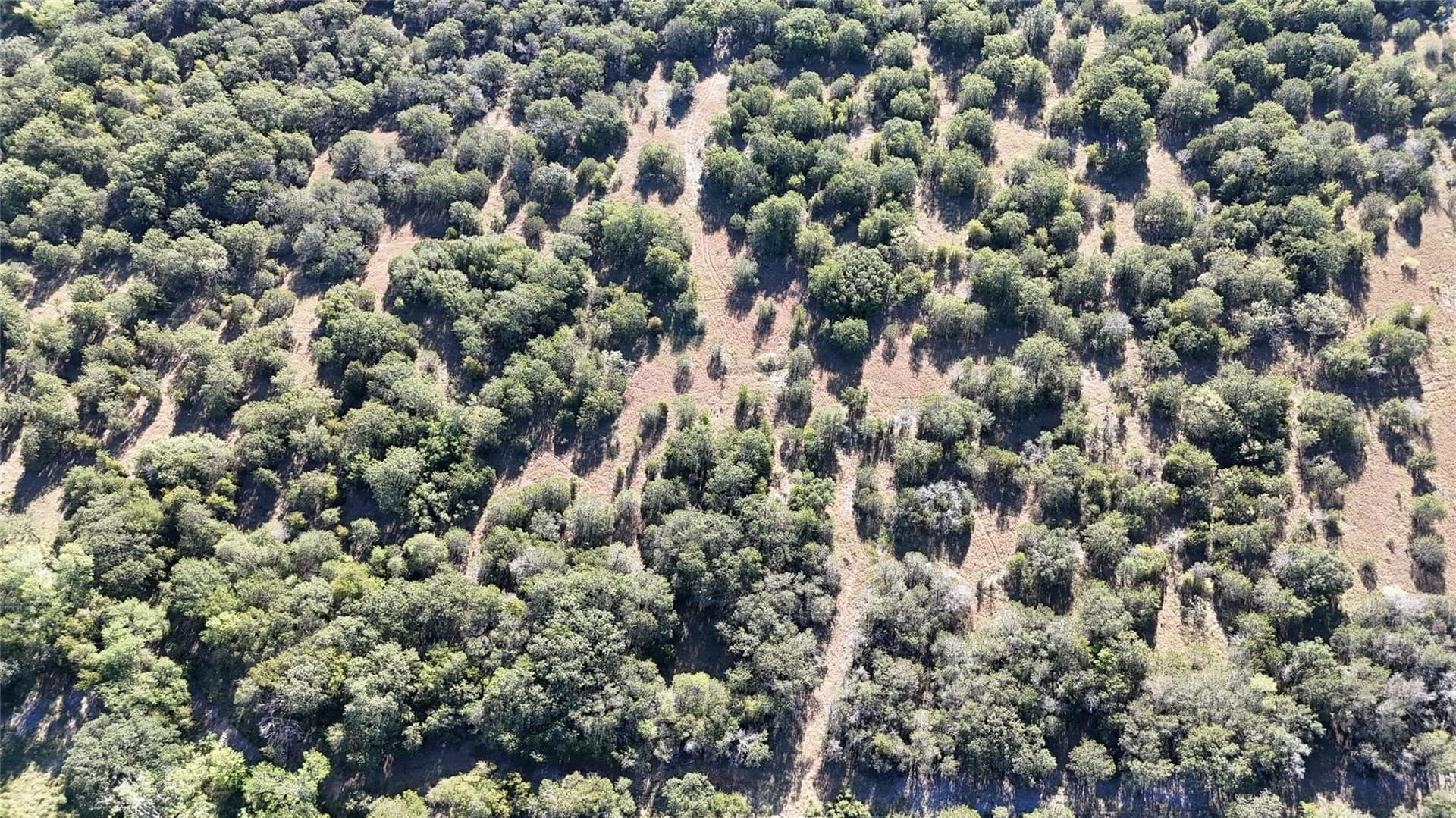 13.93 acres in Palo Pinto County - photo 14