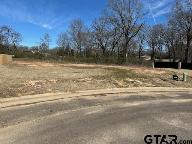 0.46 acres in Titus County gallery image 2