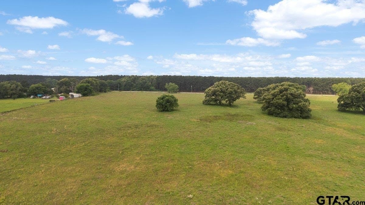 65.22 acres in Henderson County - photo 4