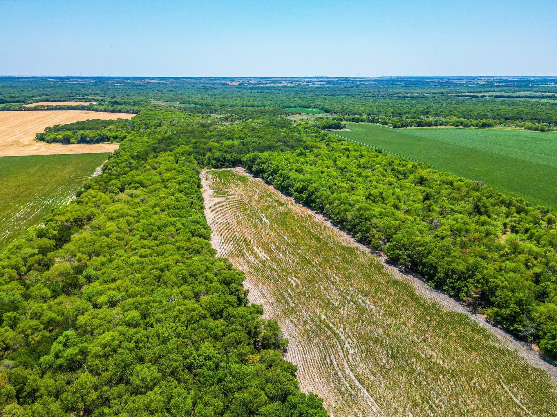 100.56 acres in Hill County - photo 25
