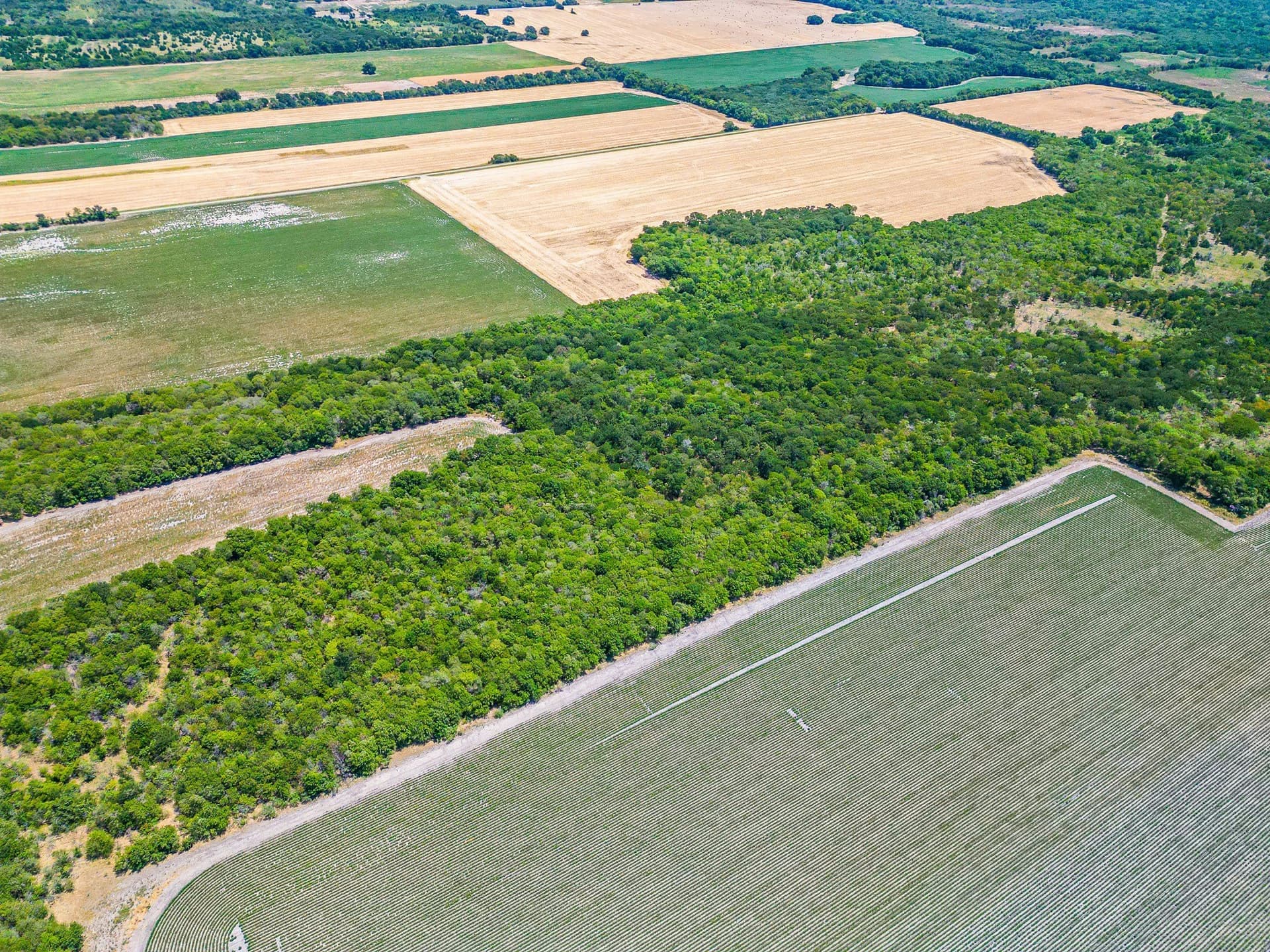 100.56 acres in Hill County - photo 21