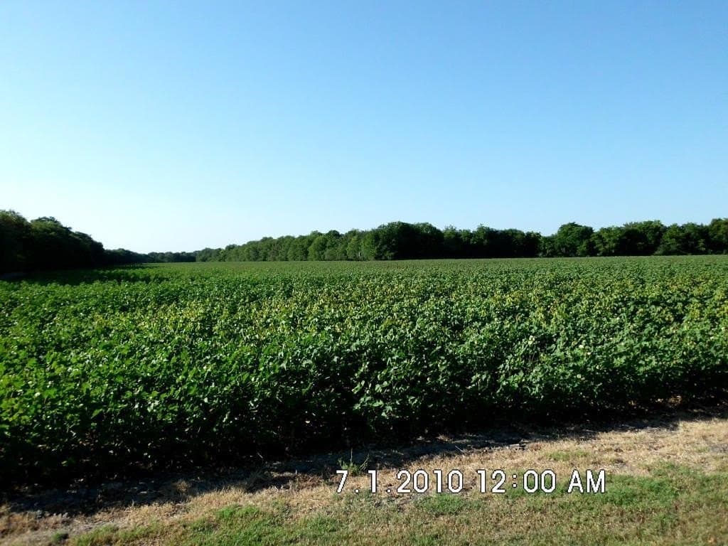 100.56 acres in Hill County - photo 5