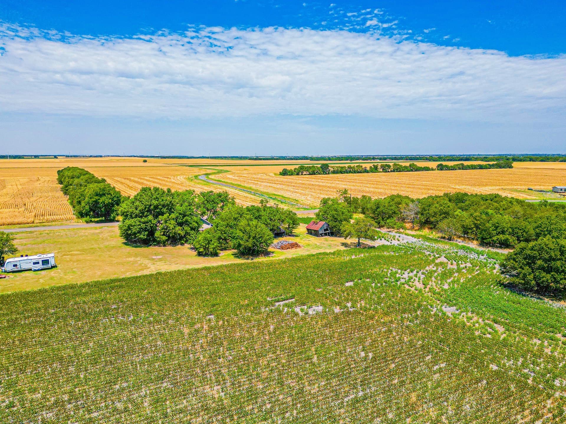 100.56 acres in Hill County - photo 27