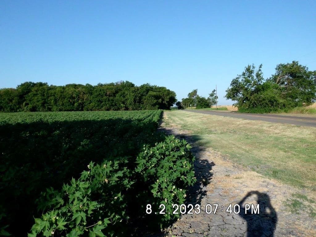 100.56 acres in Hill County - photo 3
