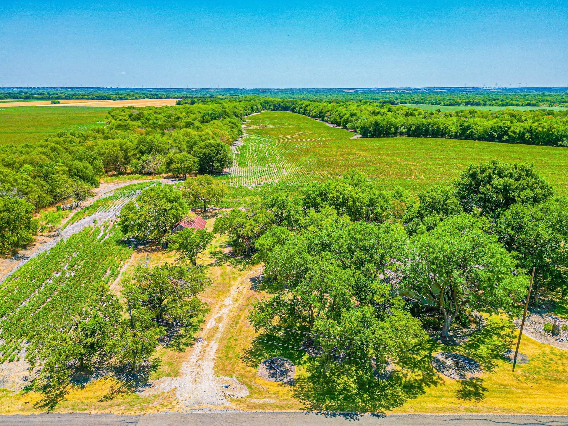 100.56 acres in Hill County - photo 30