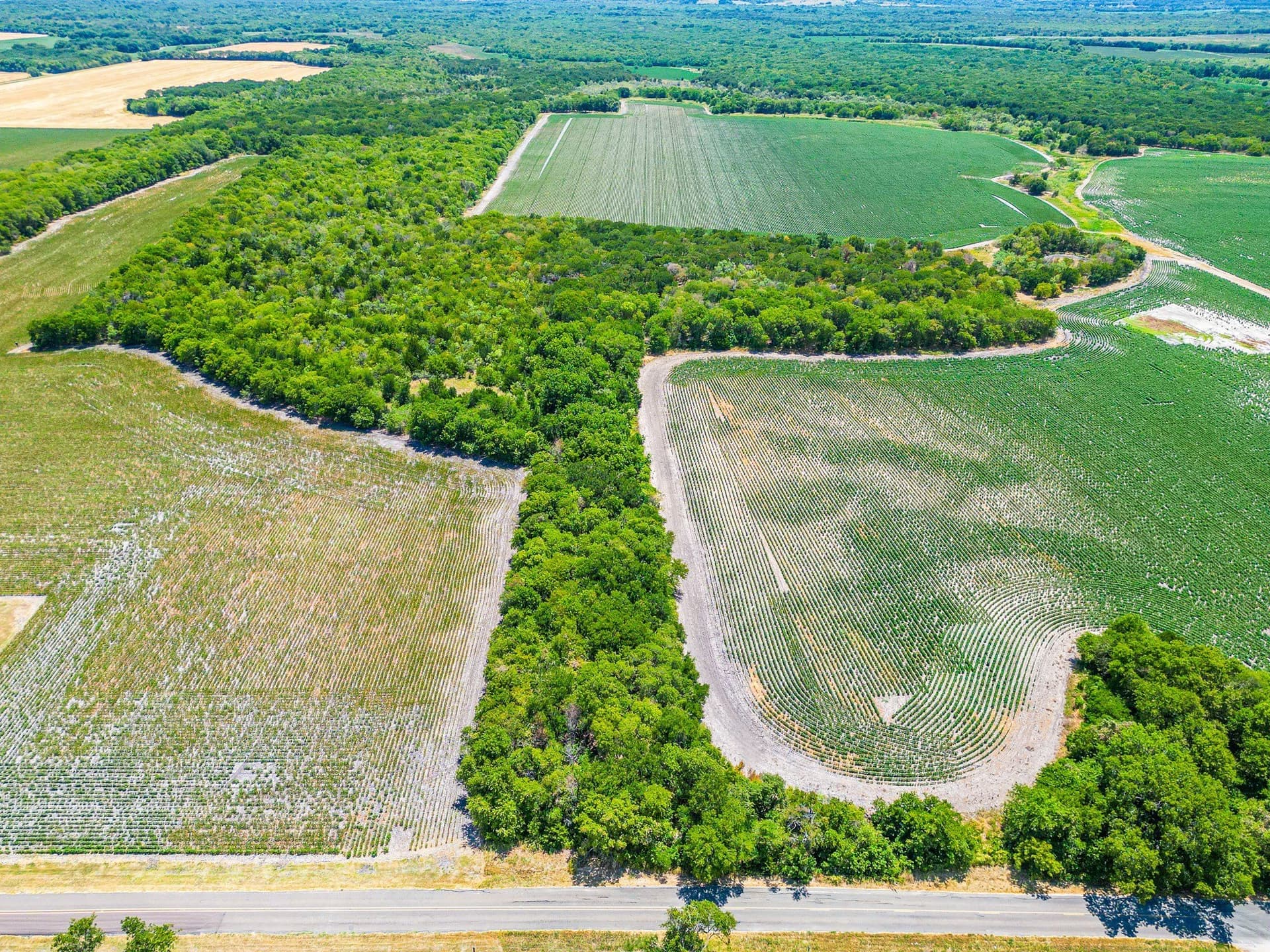 100.56 acres in Hill County - photo 34