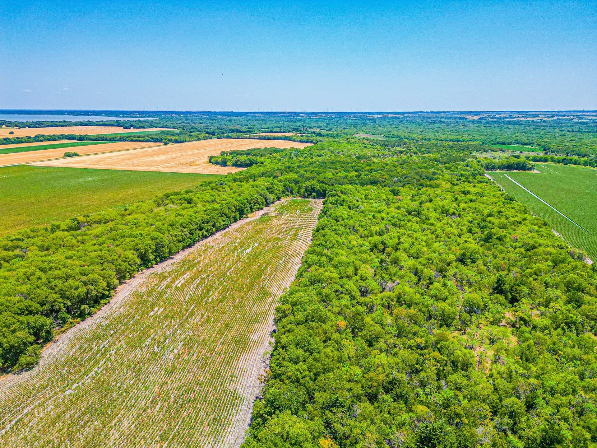 100.56 acres in Hill County - photo 26