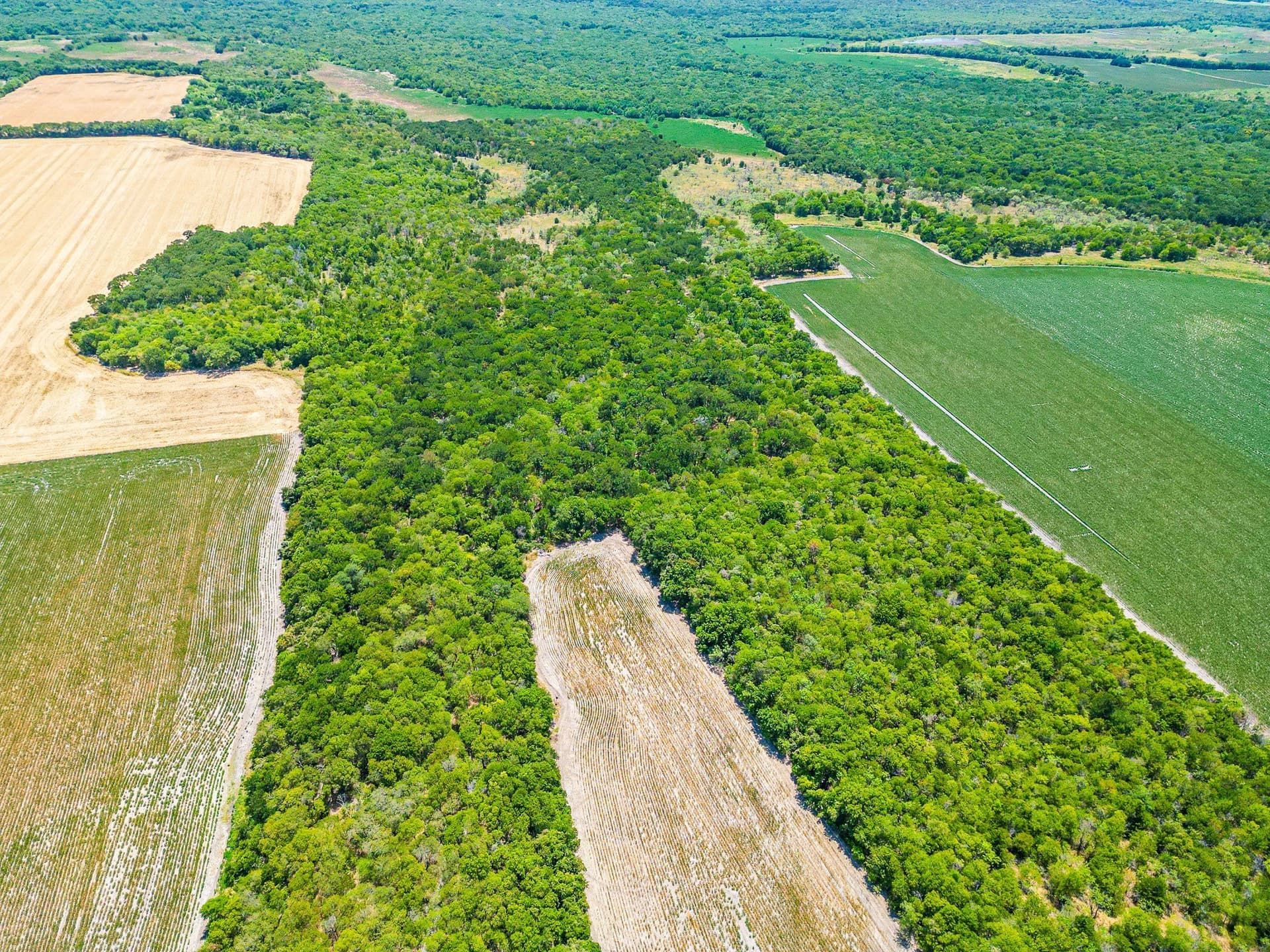100.56 acres in Hill County - photo 24