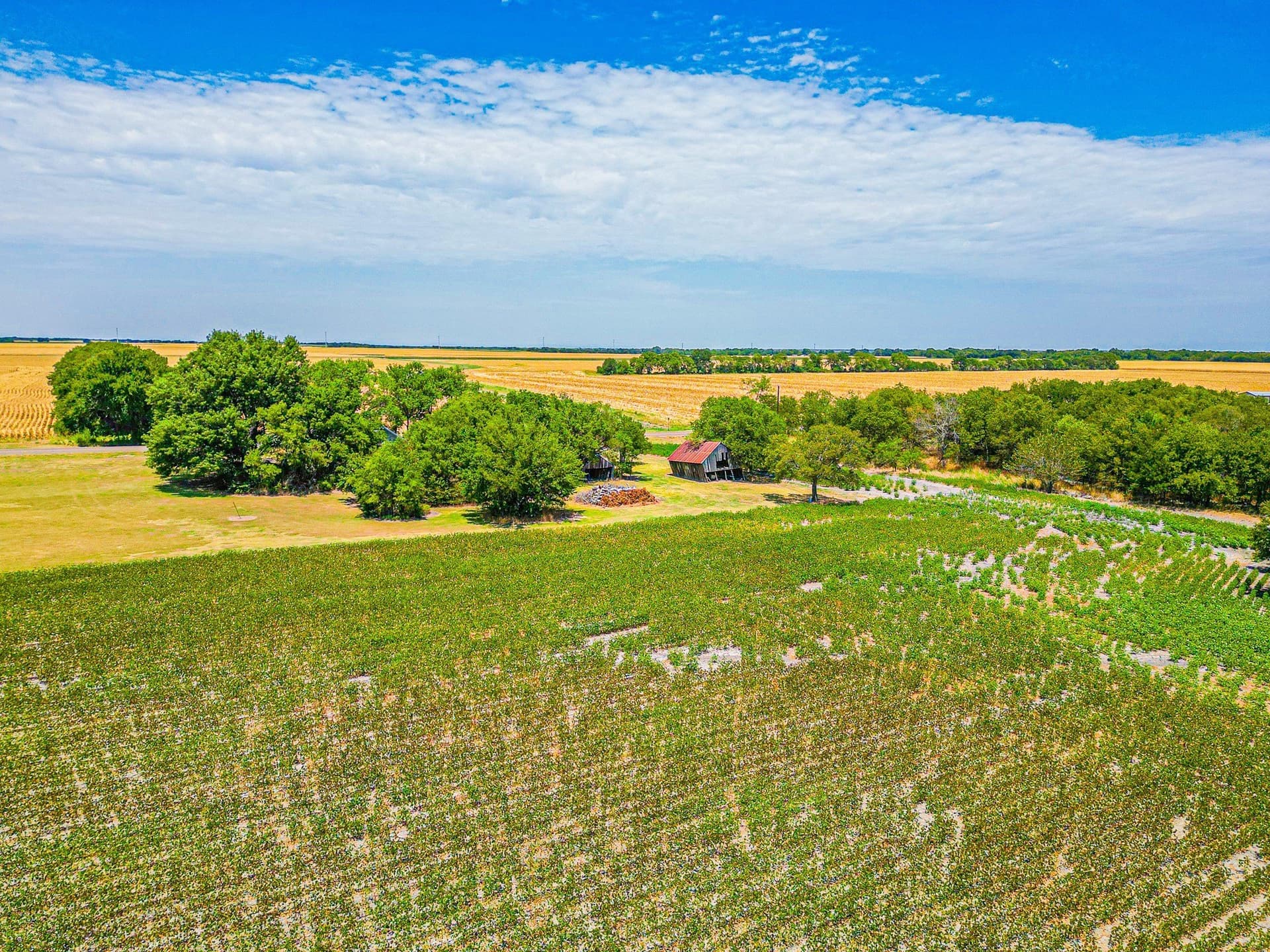 100.56 acres in Hill County - photo 28