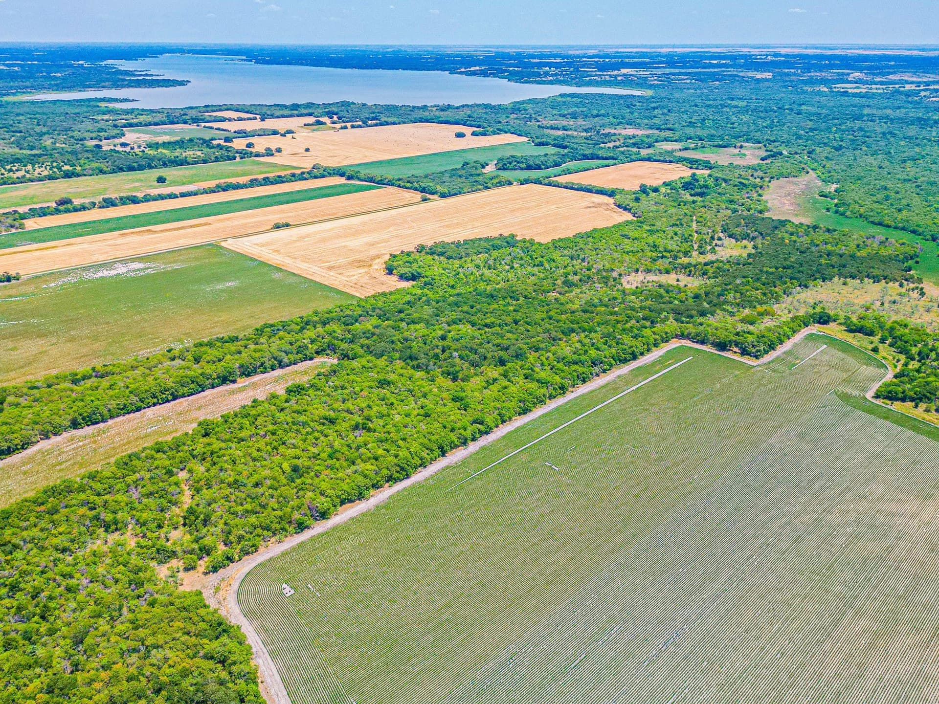100.56 acres in Hill County - photo 19