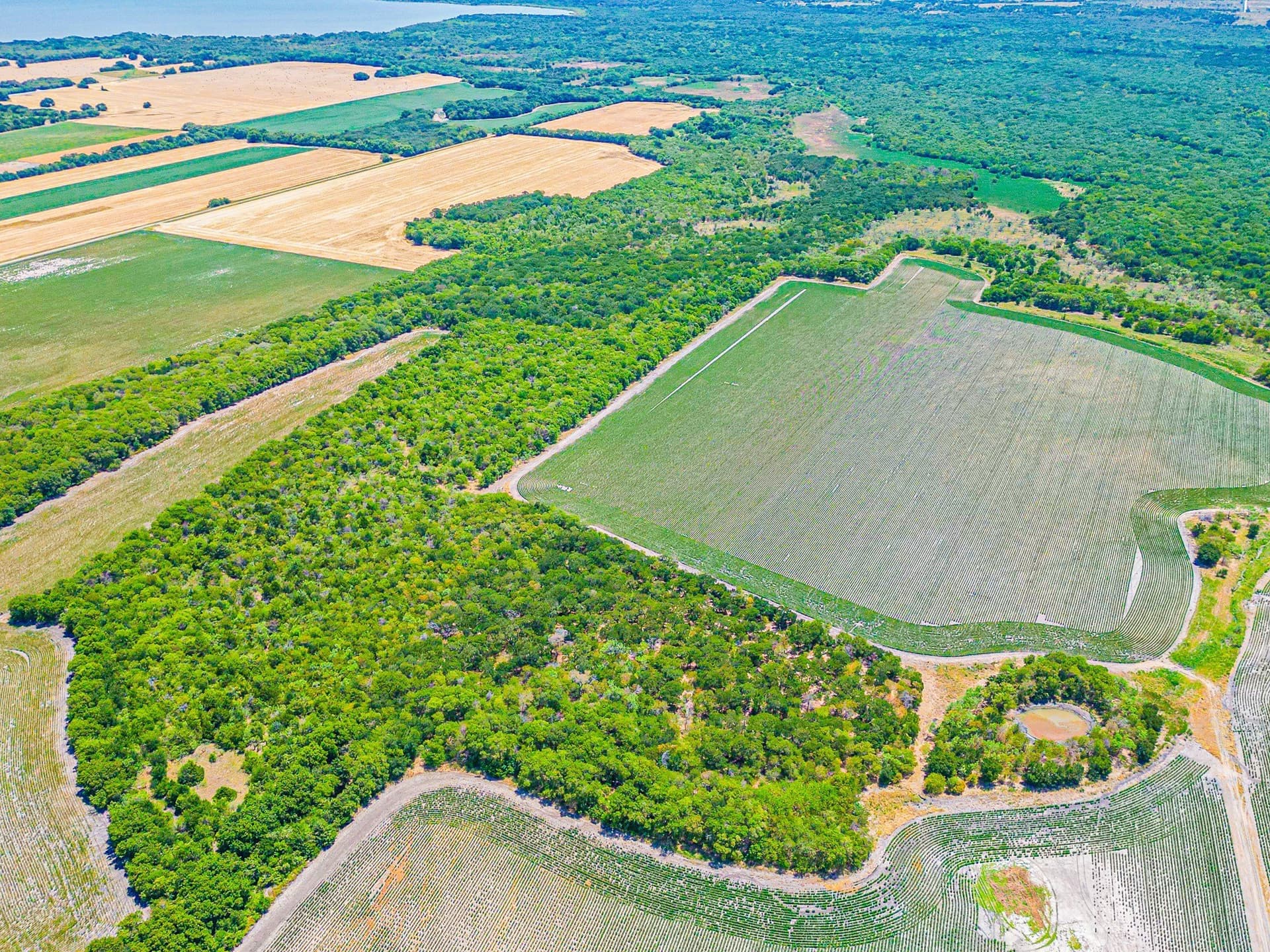 100.56 acres in Hill County - photo 17