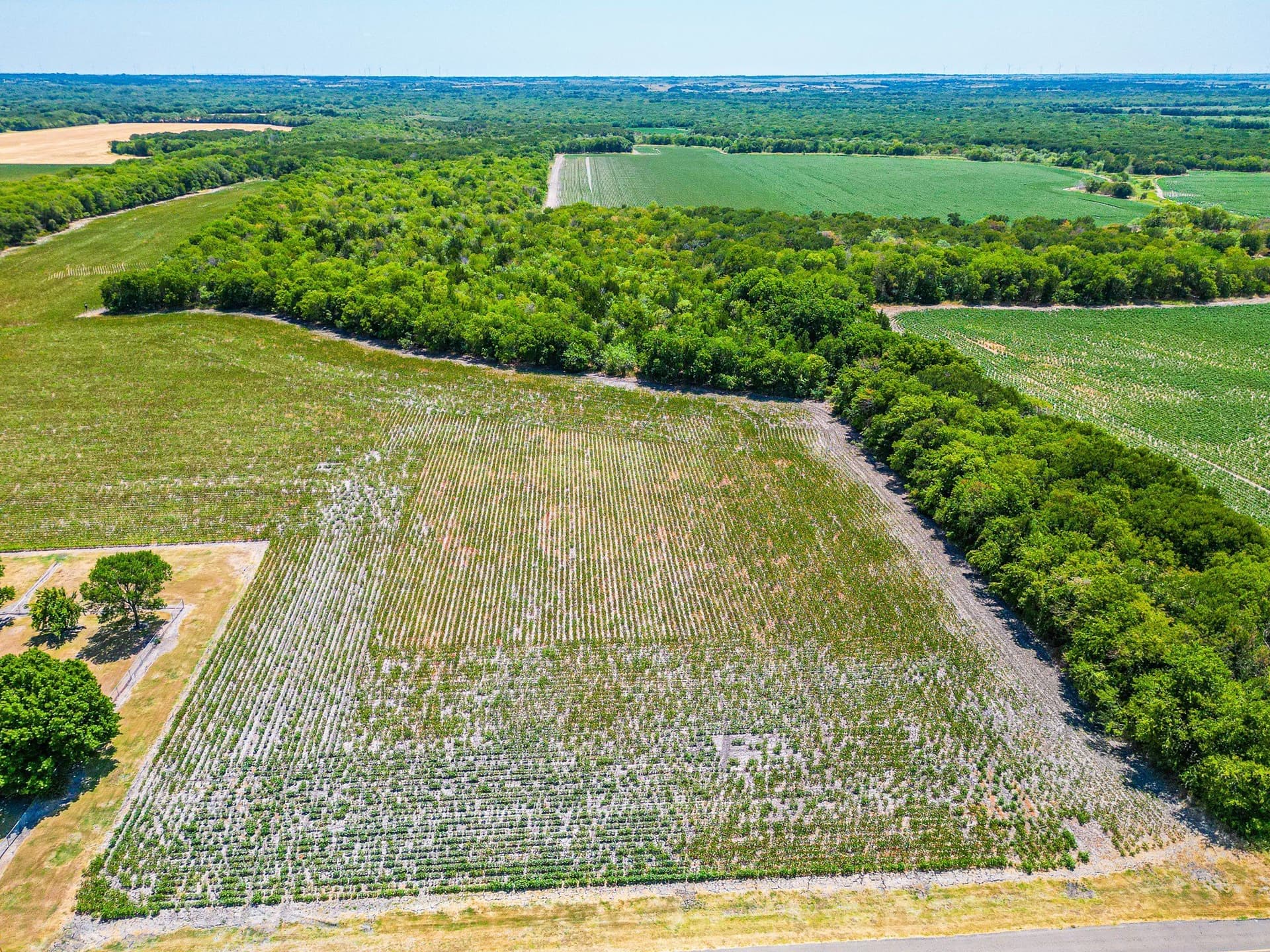 100.56 acres in Hill County - photo 33