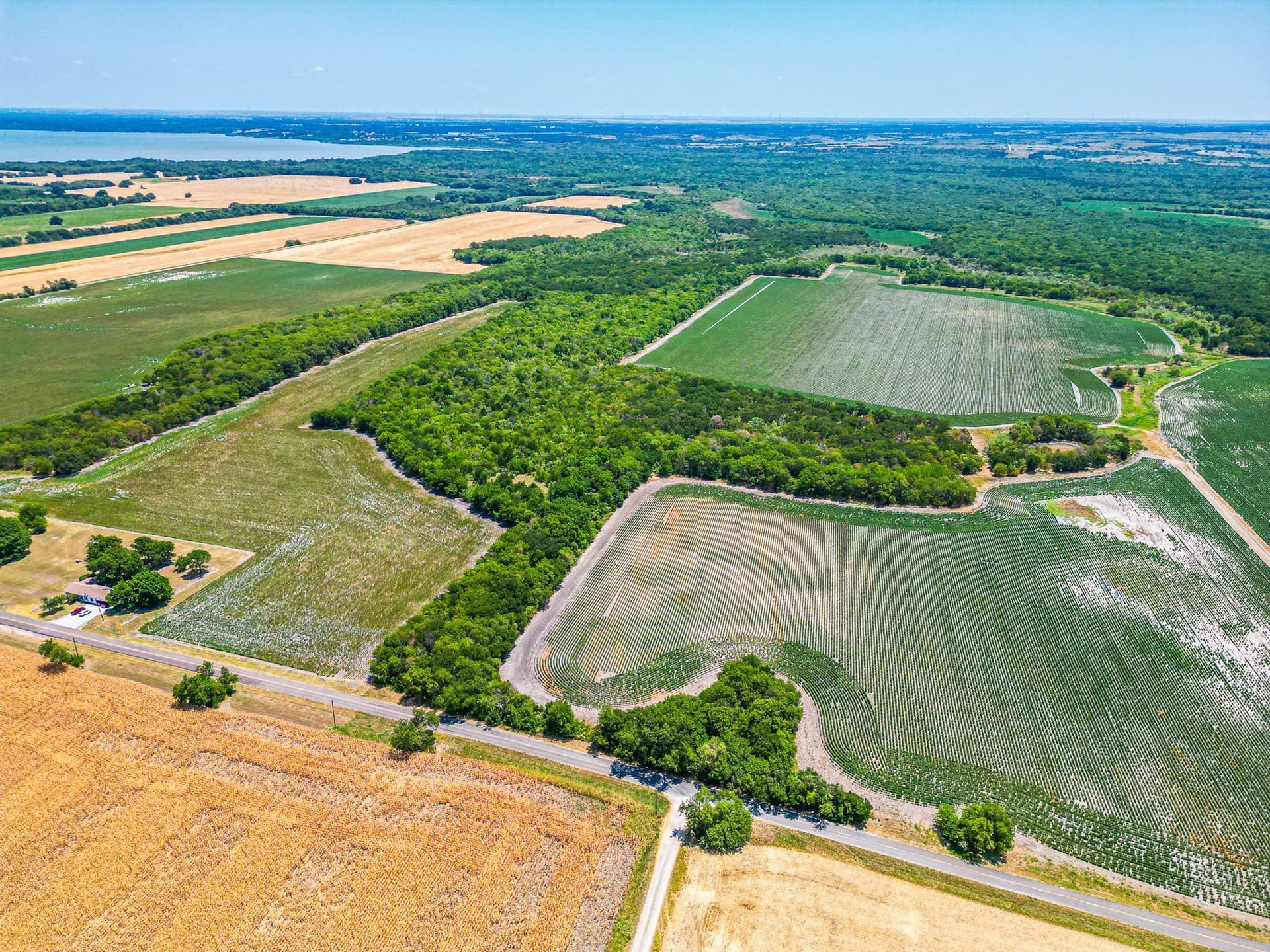 100.56 acres in Hill County - photo 37