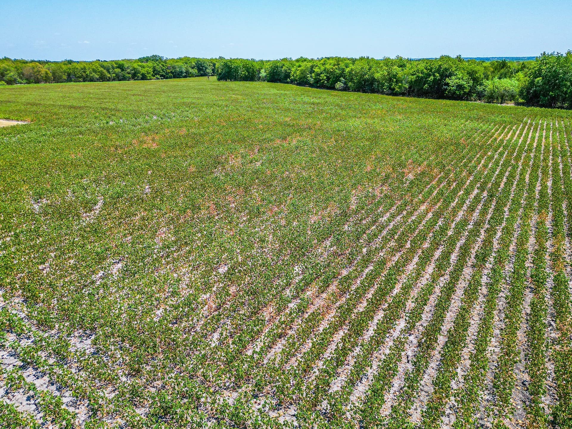 100.56 acres in Hill County - photo 38