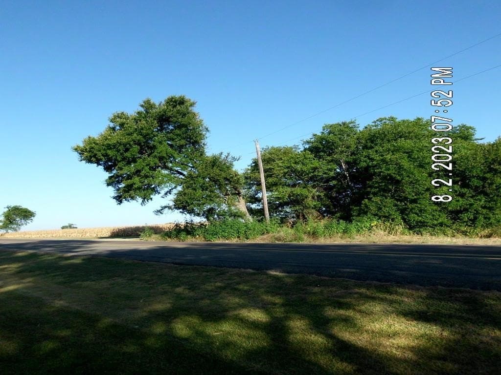 100.56 acres in Hill County - photo 7