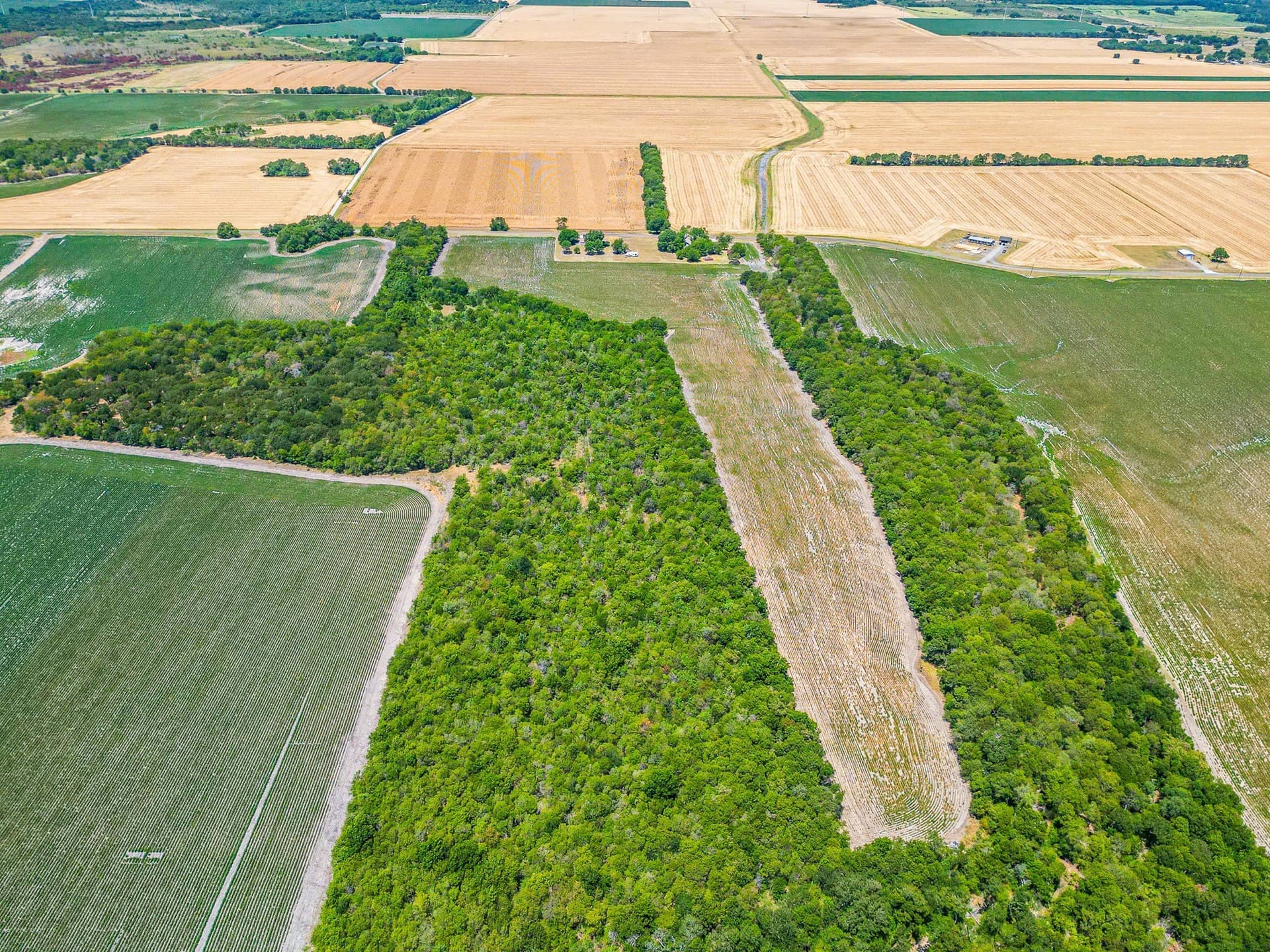 100.56 acres in Hill County - photo 22