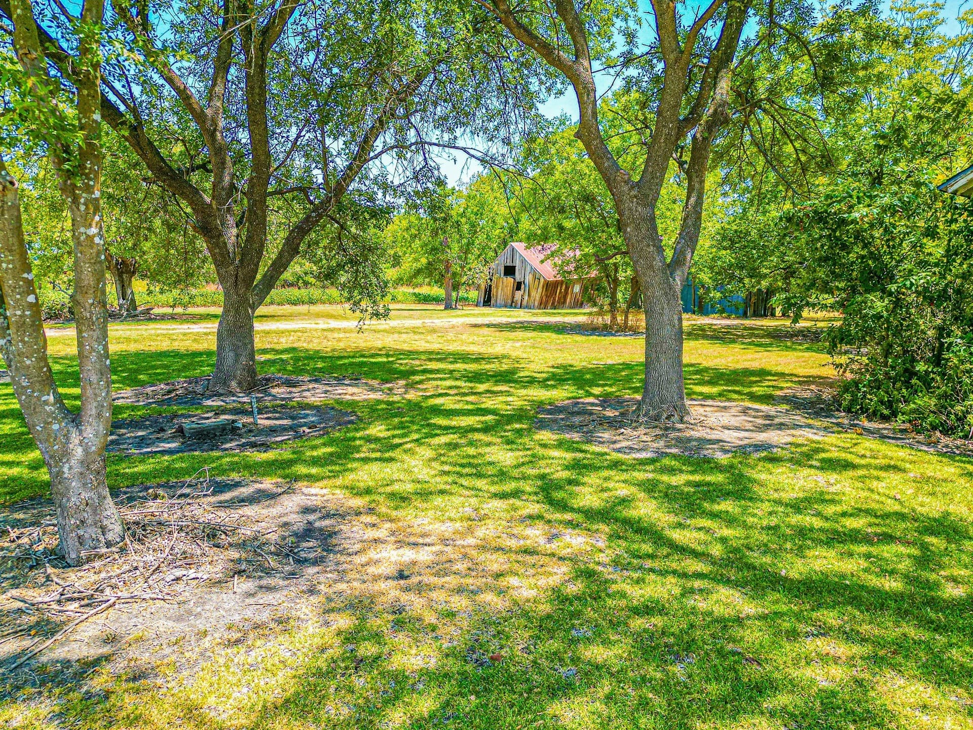 100.56 acres in Hill County - photo 10