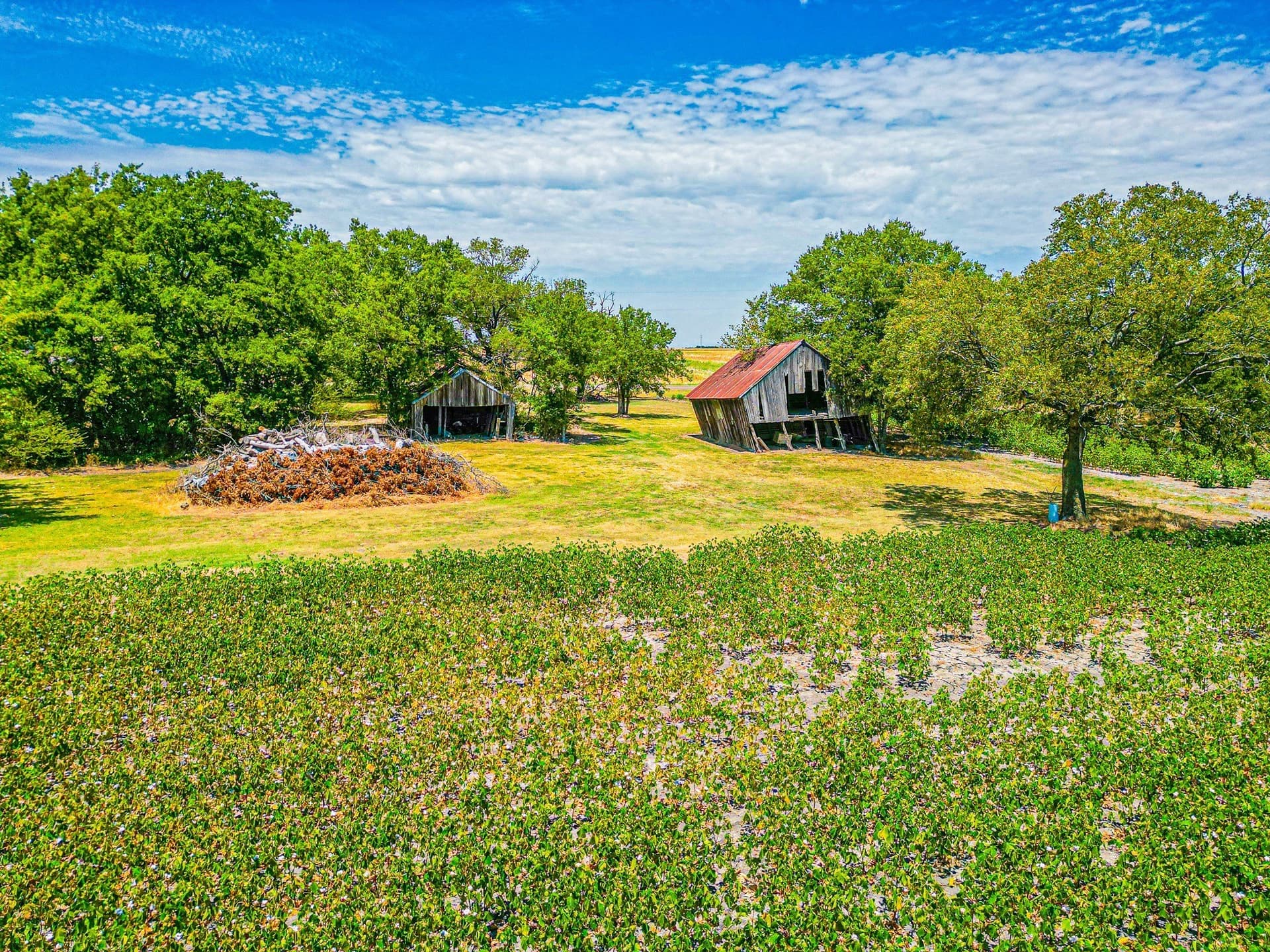 100.56 acres in Hill County - photo 29